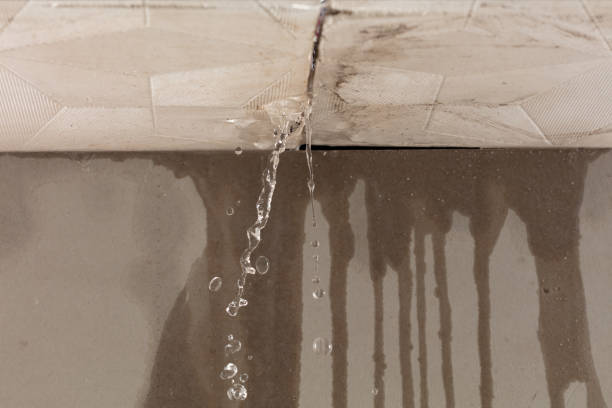 Professional Sewage Cleanup technician working in Cambridge, IL